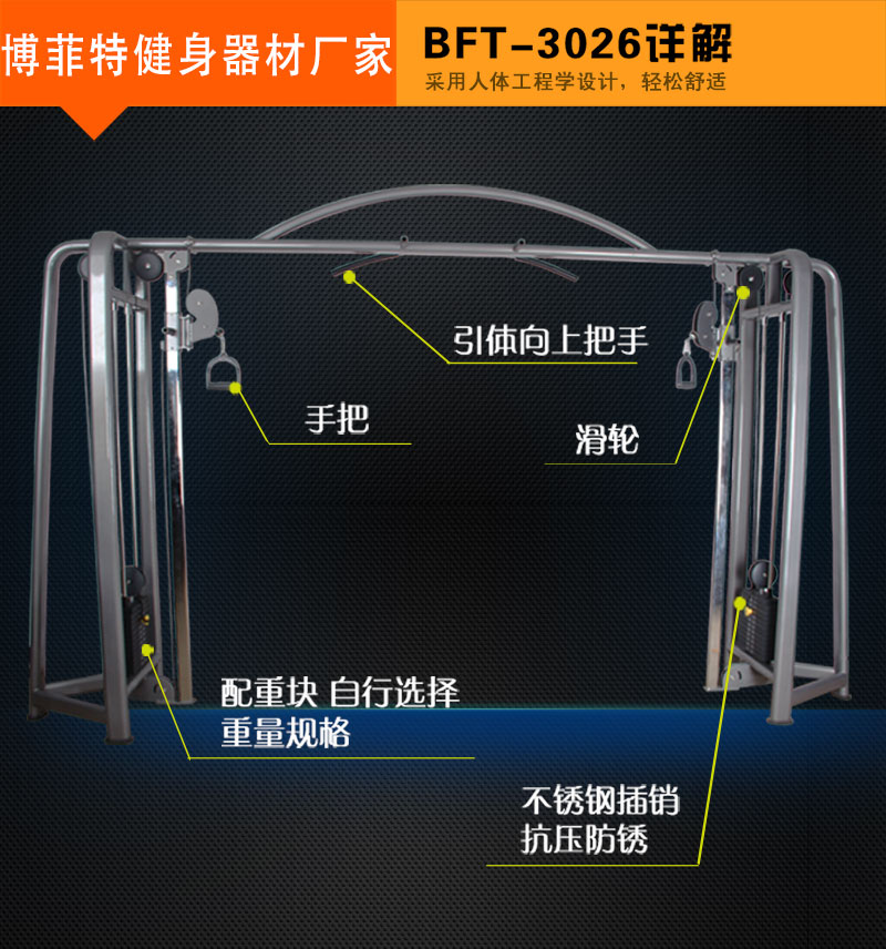 大飞鸟健身器材